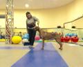 Региональный центр кинологии "Аккорд": дрессировка собак, гостиница для животных, курсы кинологов в Гатчине