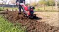 Вспашка земли мотоблоком покос травы уничтожение борщевика в Калининграде